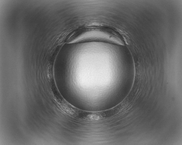 X0000052590272200507081802