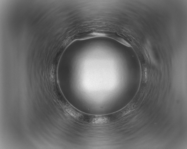 X0000052590274200507081802
