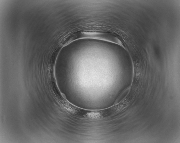 X0000052590279200507081802