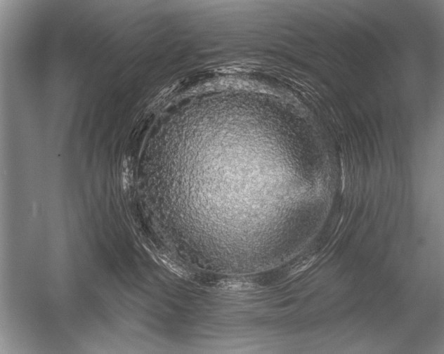 X0000052590284200507081802