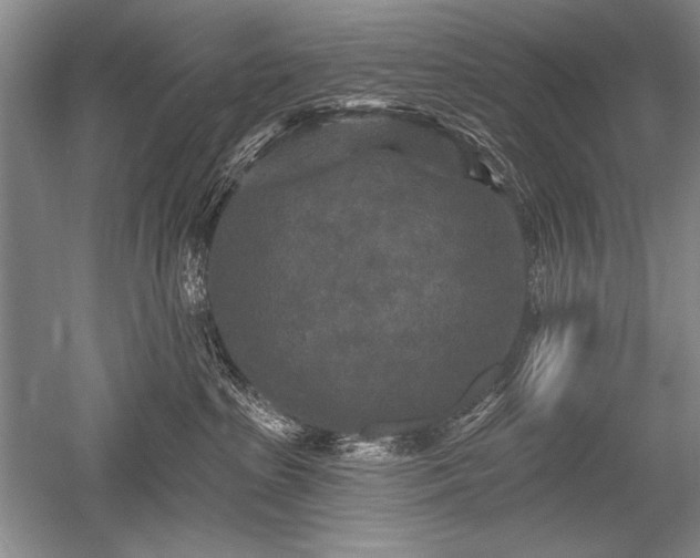 X0000052590285200507081802