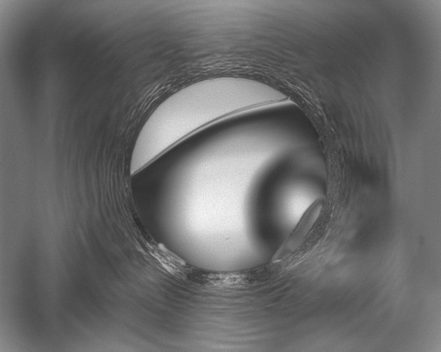 X0000052590288200507081802