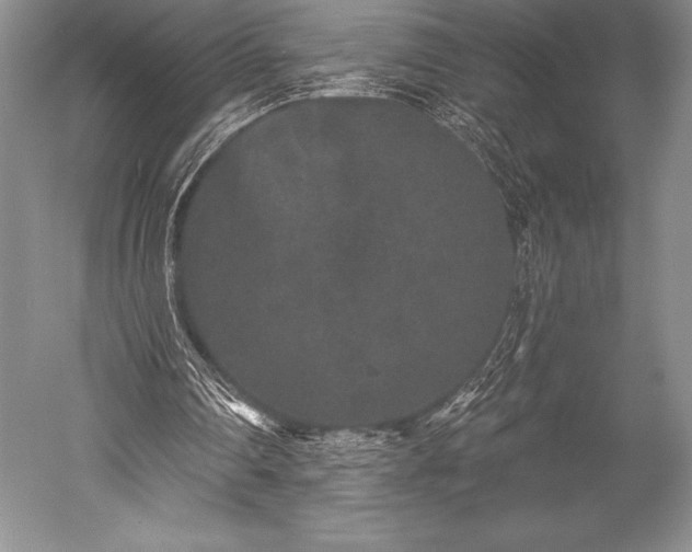 X0000052590290200507081801