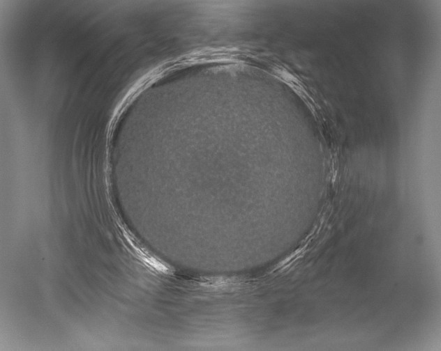 X0000052590293200507081801