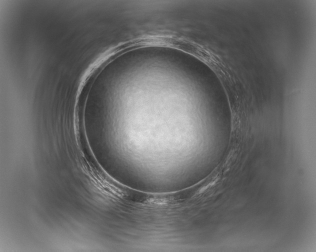 X0000052590294200507081801