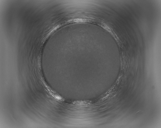 X0000052590297200507081801