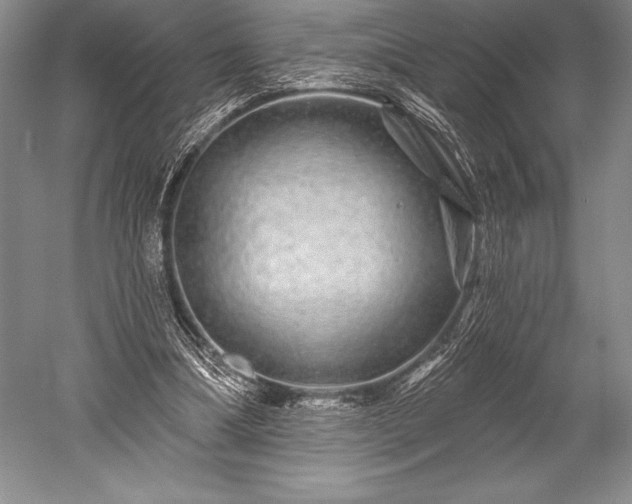 X0000052590298200507081801