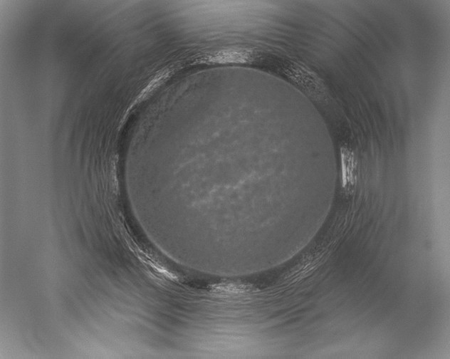 X0000052590300200507081801