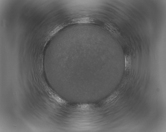 X0000052590301200507081801