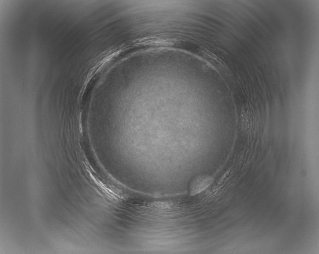 X0000052590302200507081801