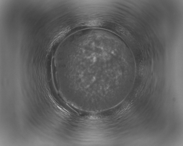 X0000052590303200507081801