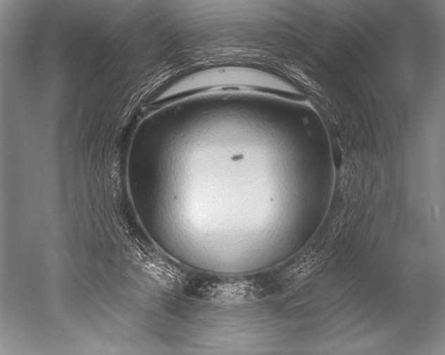 X0000052590306200507081801