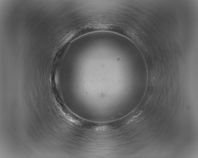 X0000052590309200507081801