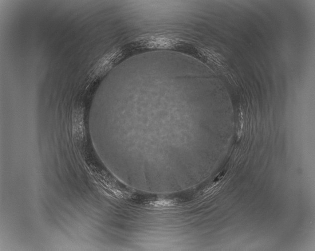 X0000052590312200507081801