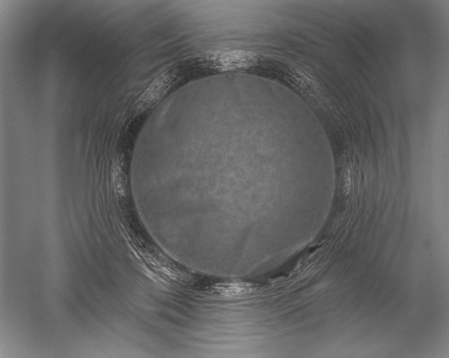 X0000052590316200507081801