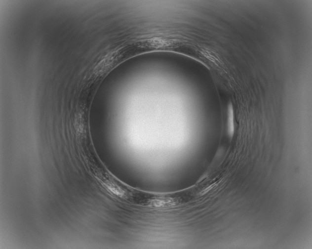 X0000052590317200507081801