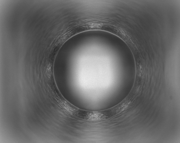 X0000052590321200507081801