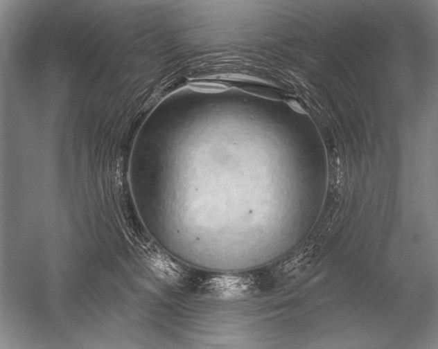 X0000052590326200507081801