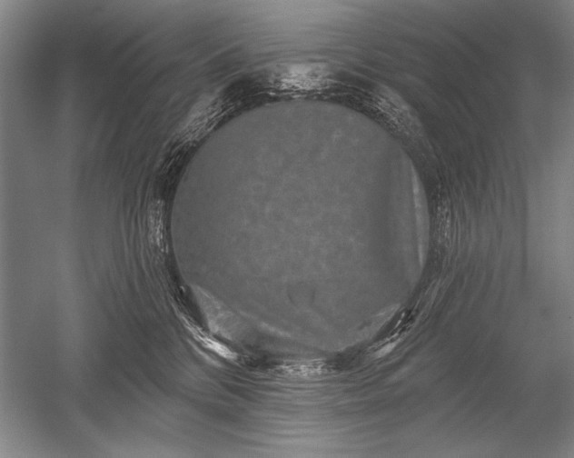X0000052590328200507081801