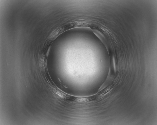 X0000052590333200507081800