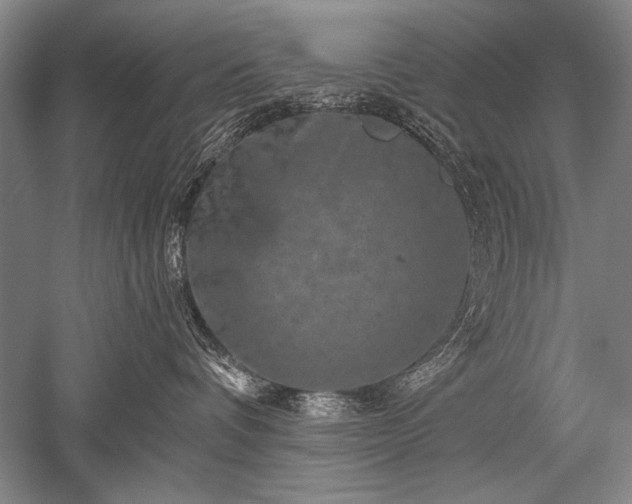 X0000052590336200507081800