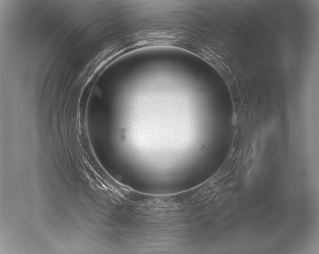 X0000052590338200507081800