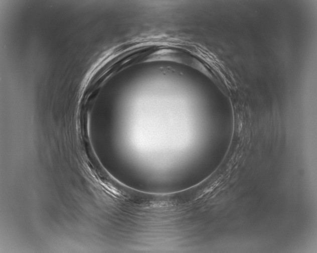 X0000052590344200507081800