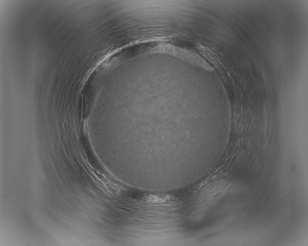 X0000052590346200507081800
