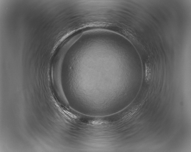 X0000052590348200507081800