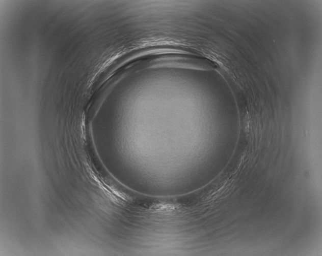 X0000052590352200507081800