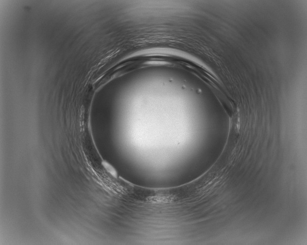 X0000052590356200507081800