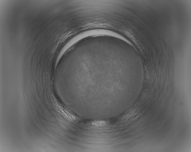 X0000052590357200507081800