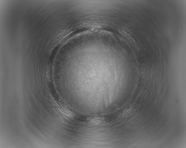X0000052590359200507081800