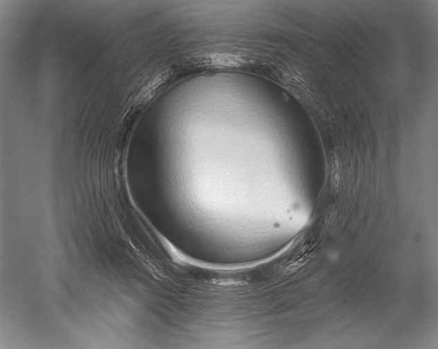 X0000052590360200507081800