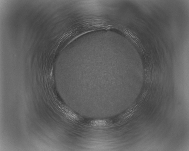 X0000052590361200507081800