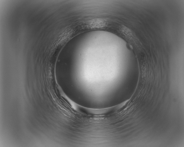 X0000052590362200507081800