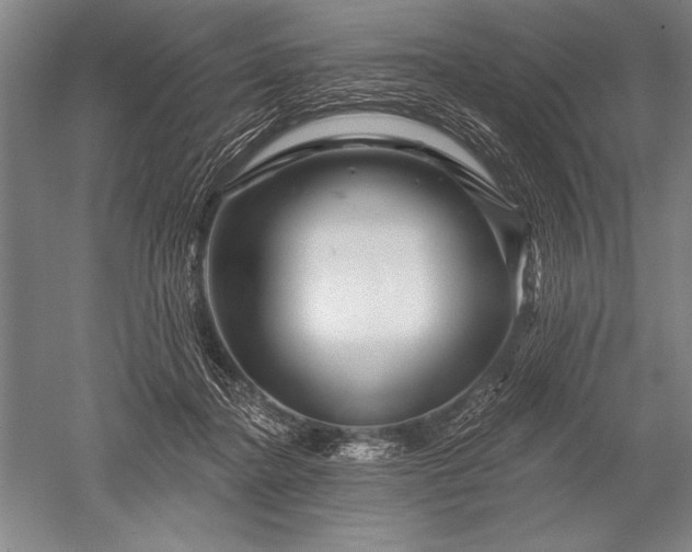 X0000052590364200507081800