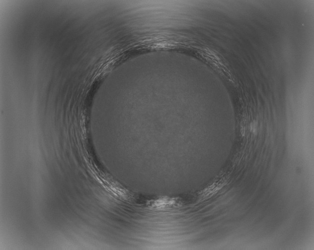 X0000052590366200507081800