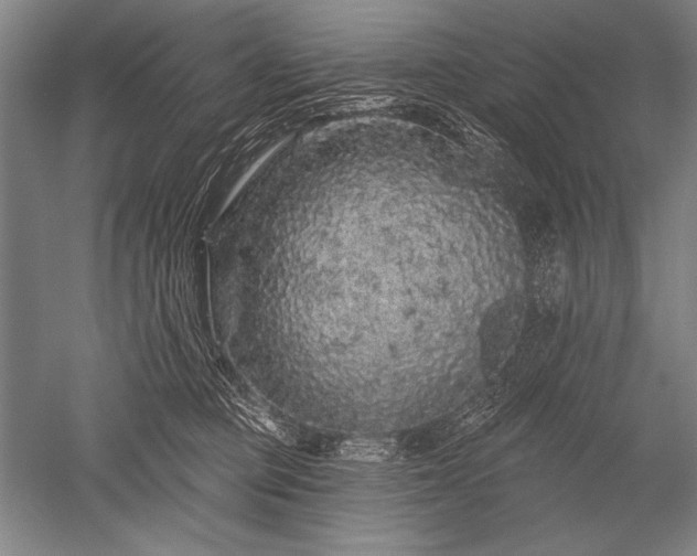 X0000052590373200507081800
