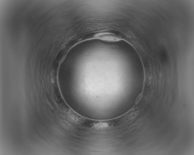 X0000052590374200507081800
