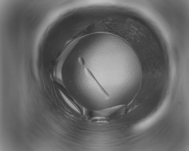 X0000052590382200507081800