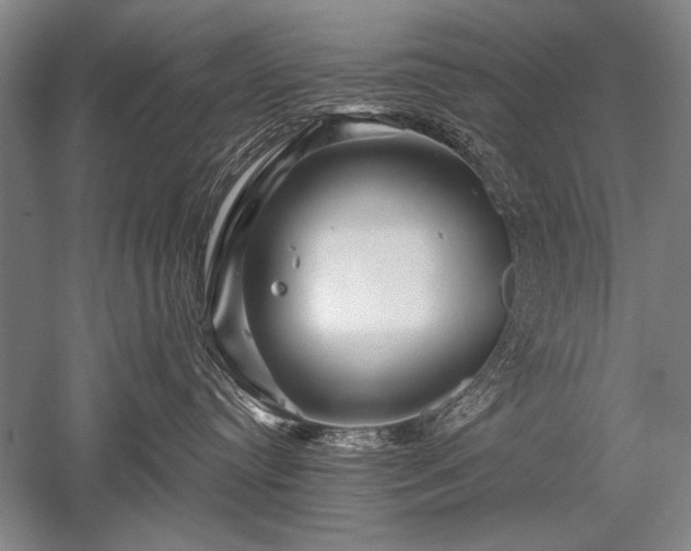 X0000052590384200507081800