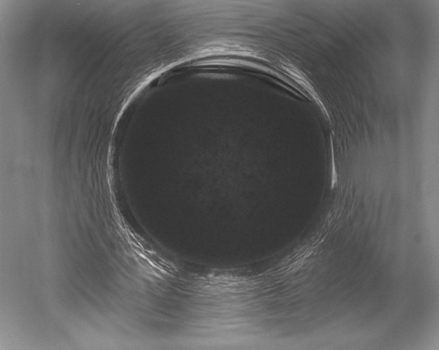 X0000052590387200507081800