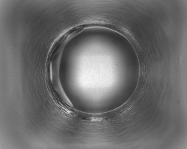 X0000052590388200507081759