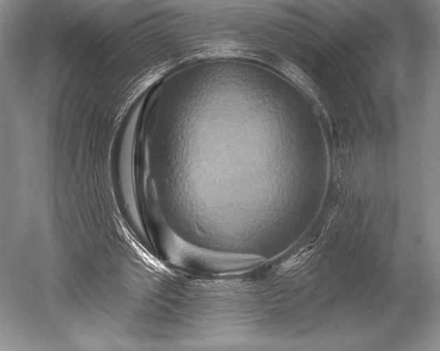 X0000052590389200507081759
