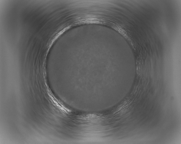 X0000052590390200507081759