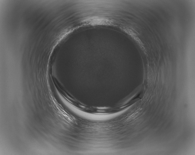 X0000052590391200507081759