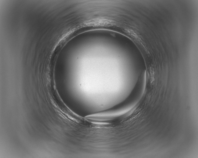 X0000052590392200507081759
