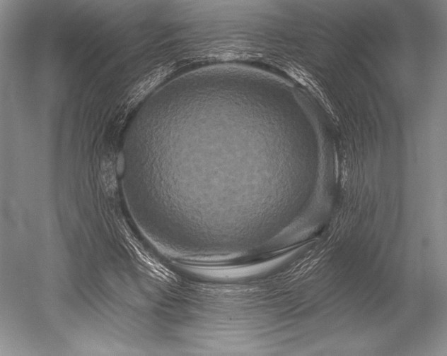 X0000052590393200507081759