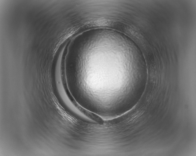 X0000052590394200507081759